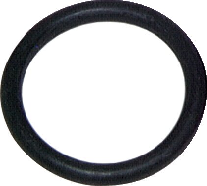 Exemplary representation: O-ring for garden hose coupling plug